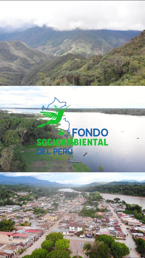 🌿 Seguimos acompañando caminos
